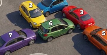 702589556 1418233053674599 8724749181686130009 n