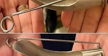 762404832 37616547104627399 3994597611659872367 n