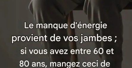 767388513 1032542212821219 3091972864048400839 n