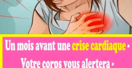 Capture decran 2024 08 27