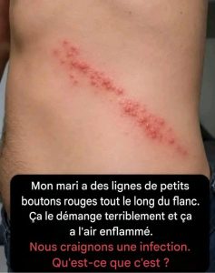 WhatsApp Image 2026 08 07 at 20.33.42 768x972