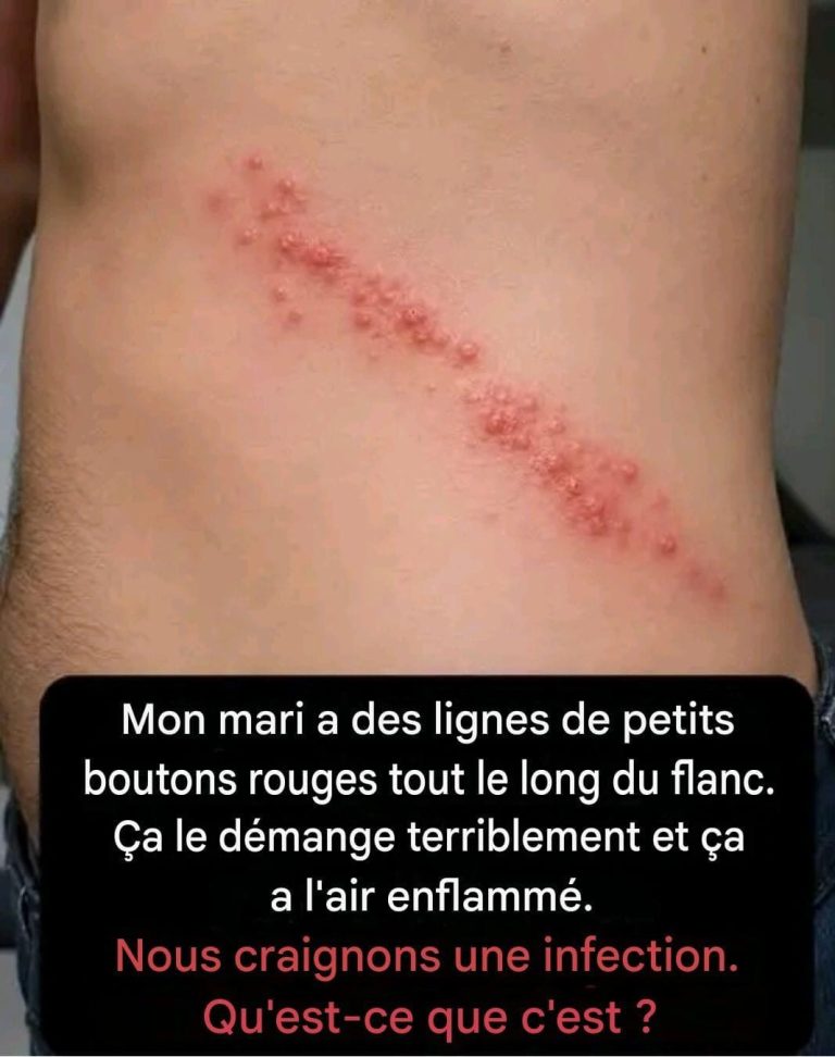 WhatsApp Image 2026 08 07 at 20.33.42 768x972
