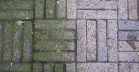 Terrastegel