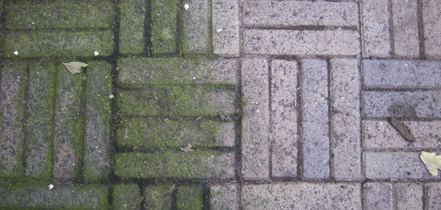 Terrastegel