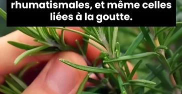 Une infusion qui fait du bien.jpg