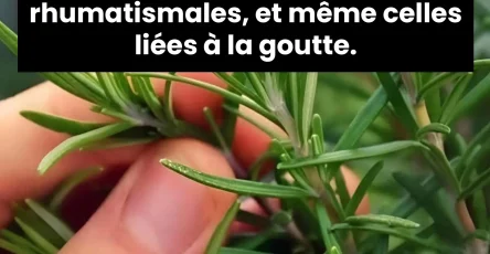 Une infusion qui fait du bien.jpg